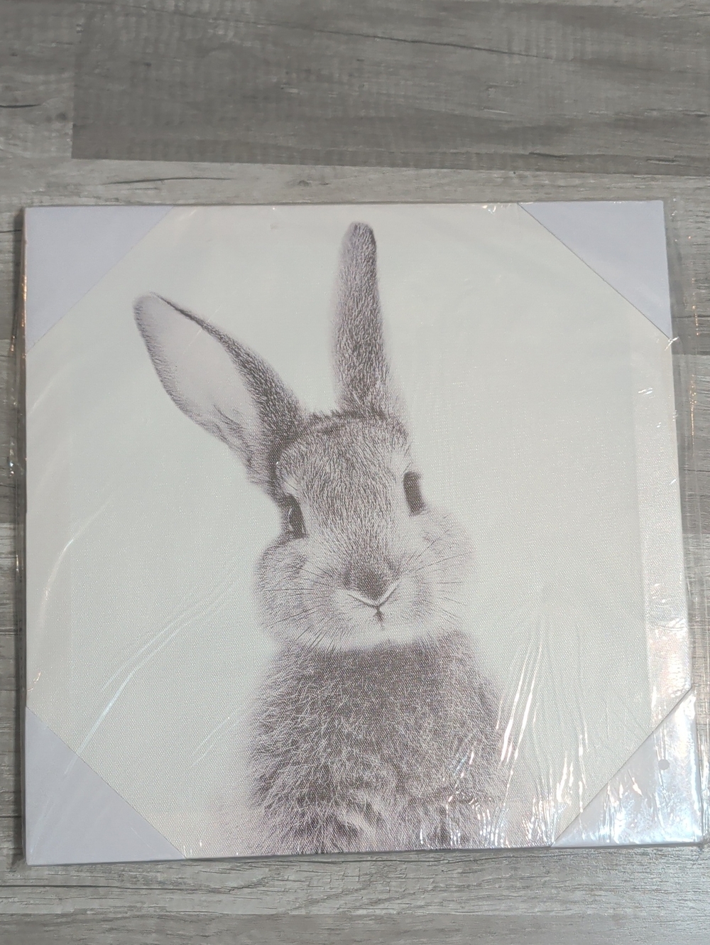 Gray Bunny Wall Art Canvas - Neutral Home Decor